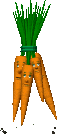 Gifs animados de cenoura