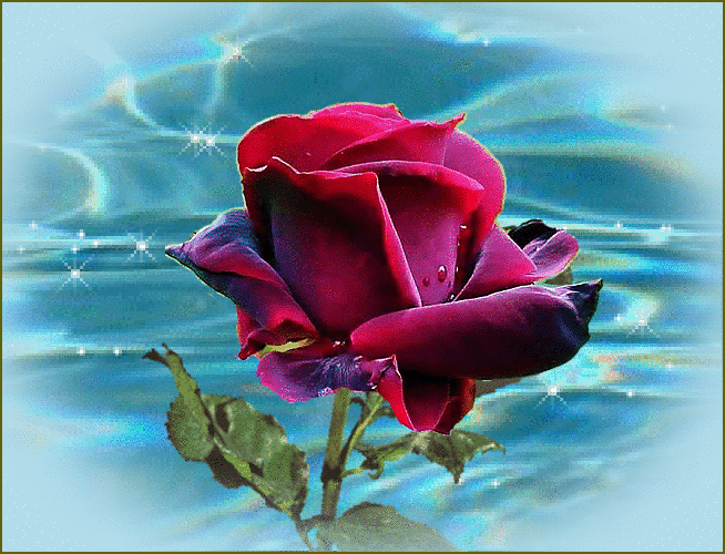 Gif de flores rosas - Gifs e Imagens Animadas