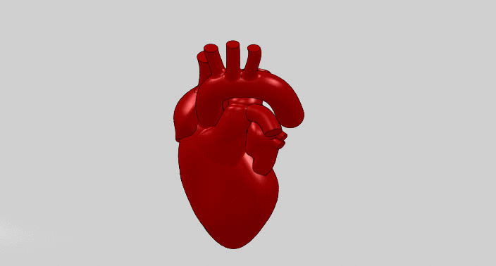 Gifs de coração humano