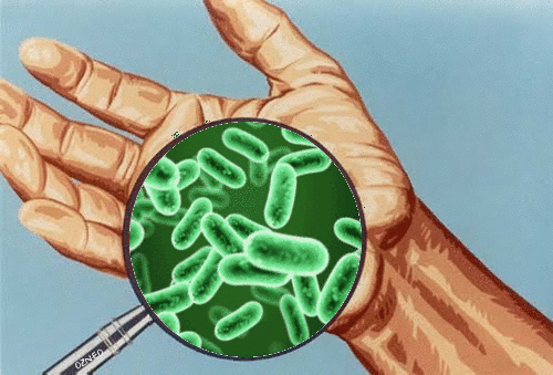 Gifs de microbiologia