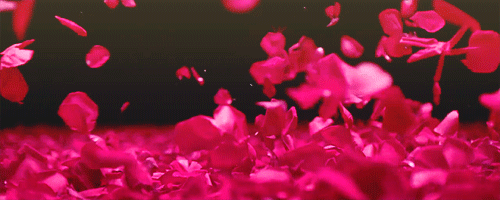 Gifs de flores caindo