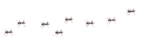 Gifs de formiga