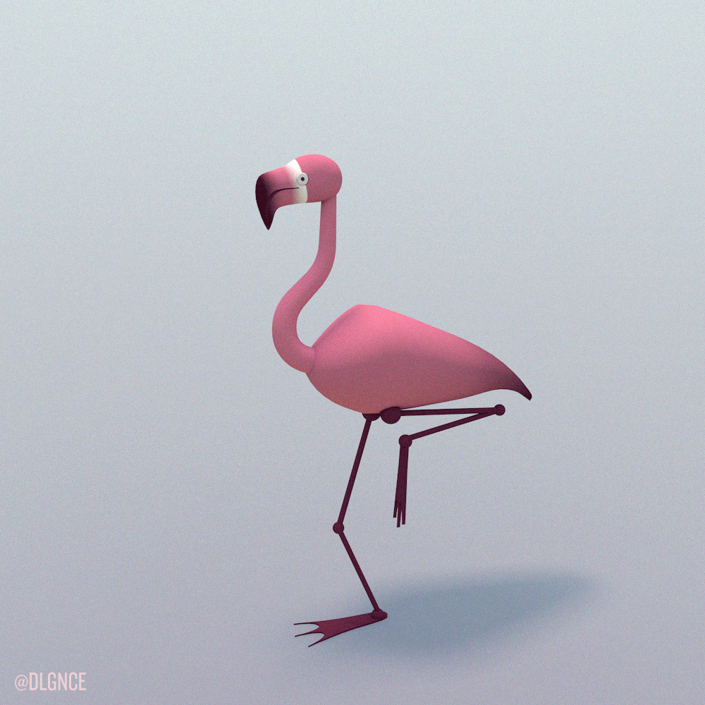 Gifs de flamingo