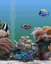 Gifs de peixes no fundo do mar