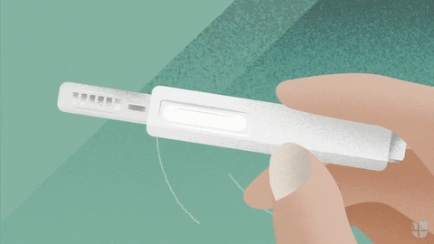 Gifs de teste de gravidez