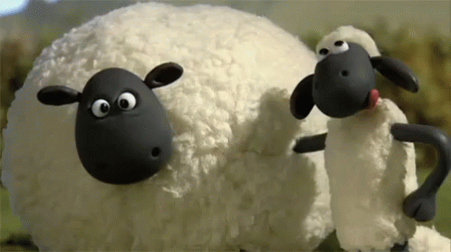 Gifs de ovelhas