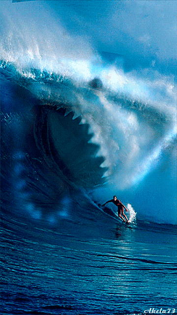 Gifs de surf