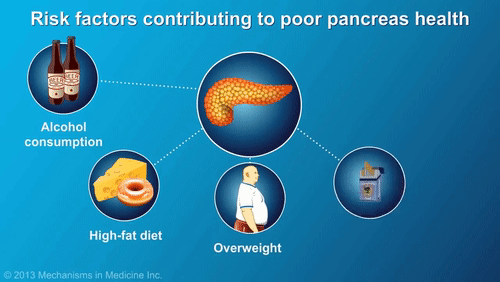 Gifs do pancreas