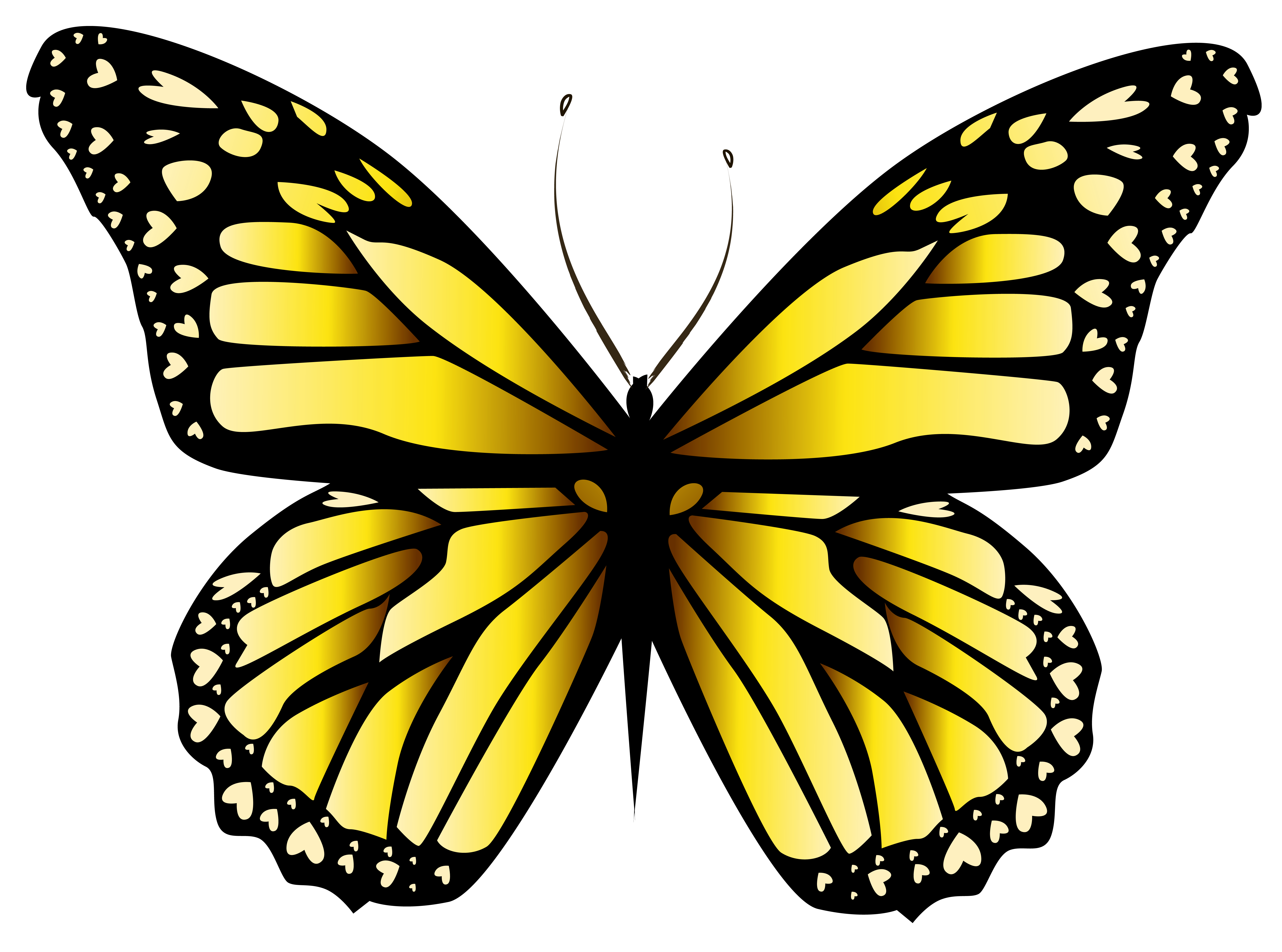 Imagens de borboleta amarela png