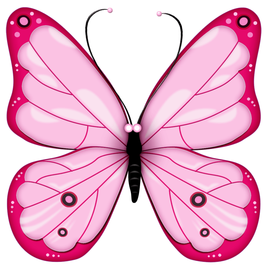 Imagens de borboleta rosa png