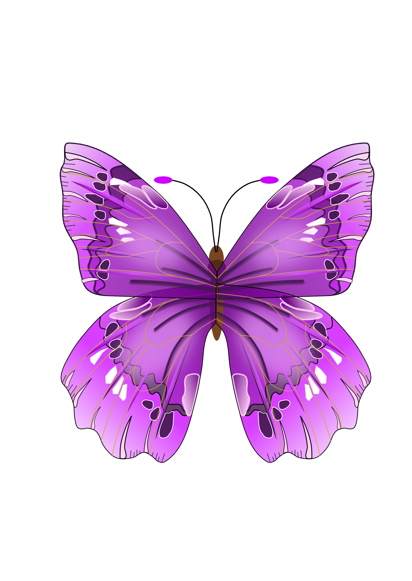 Imagens de borboleta roxa png