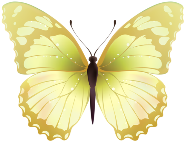 Imagens de borboleta verde png