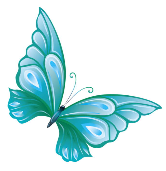 Imagens de borboleta verde png