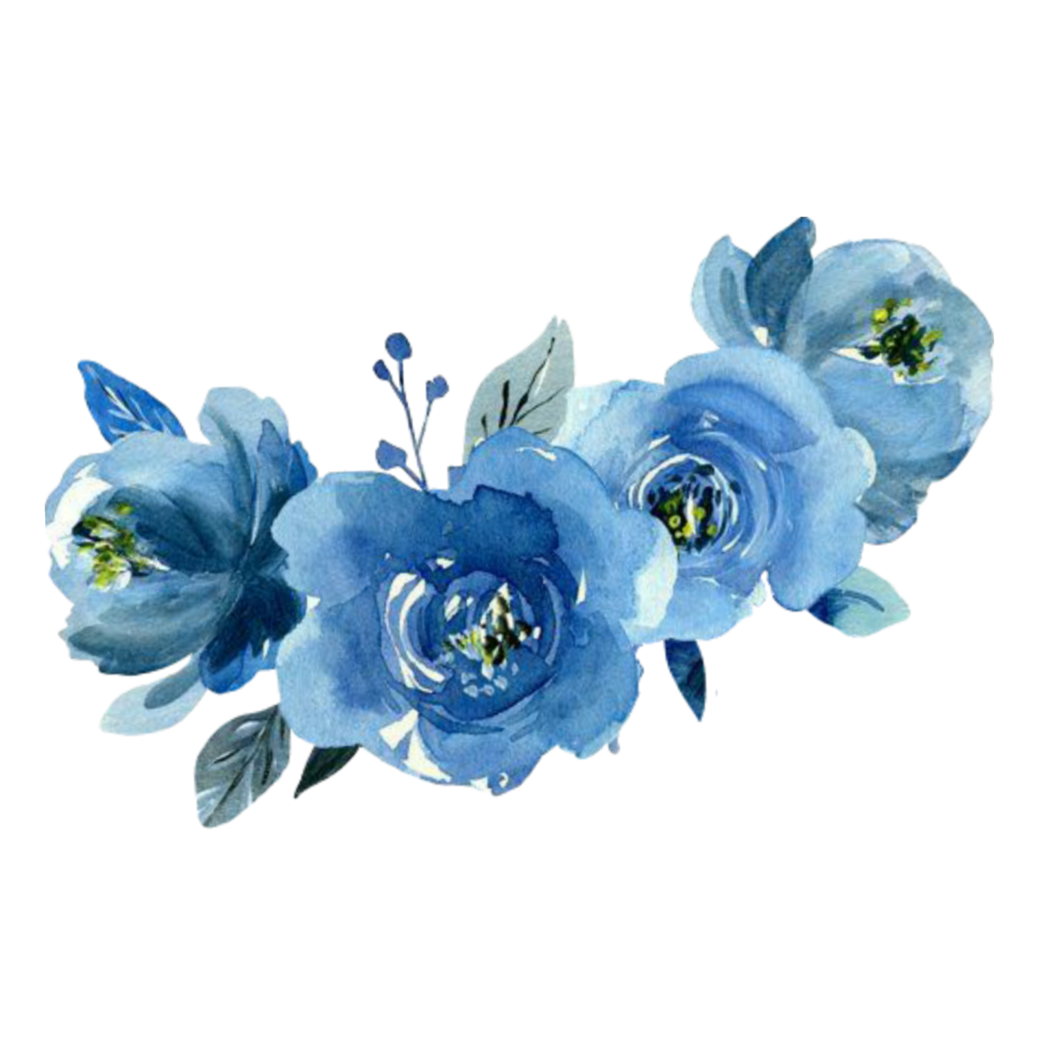 Imagens de flores azuis png