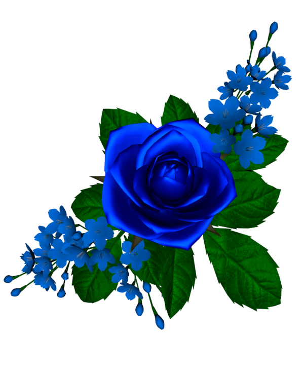 Imagens de flores azuis png