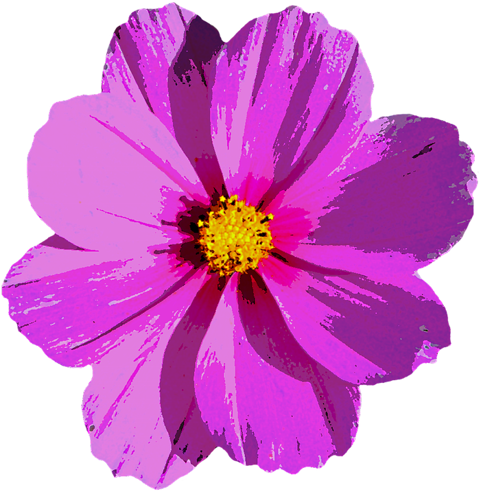 Imagens de flores roxas png
