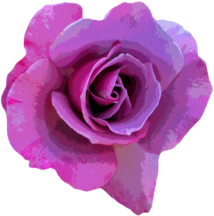 Imagens de flores roxas png