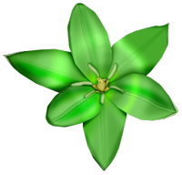 Imagens de flores verdes png