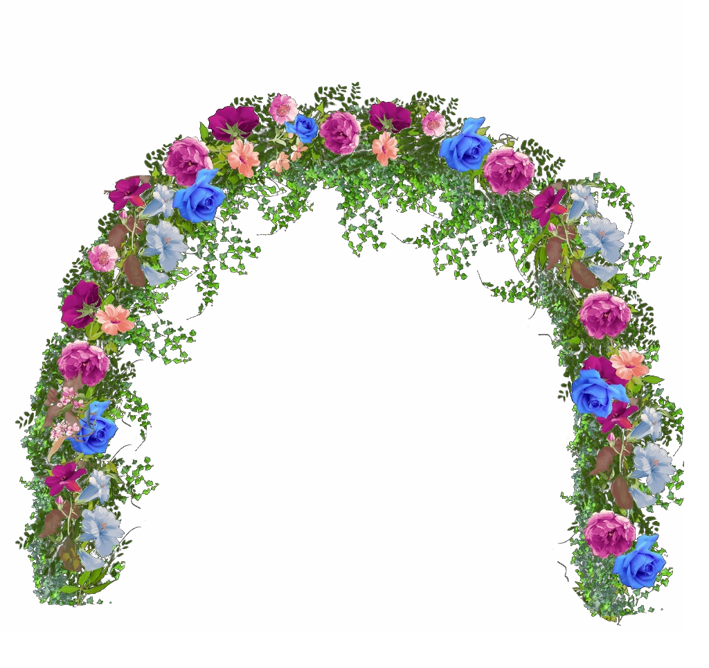 Полукруг цветов. Цветочная арка. Арка из цветов. Цветочная арка на прозрачном фоне. Красивая Цветочная арка.