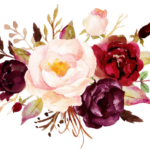 Imagens de floral aquarela png