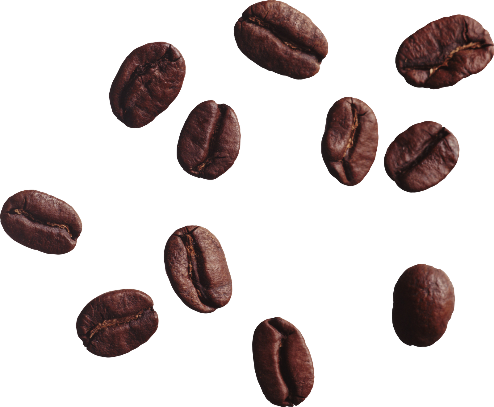 Imagens de grãos de café png