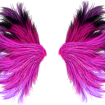 Imagens de asas coloridas png