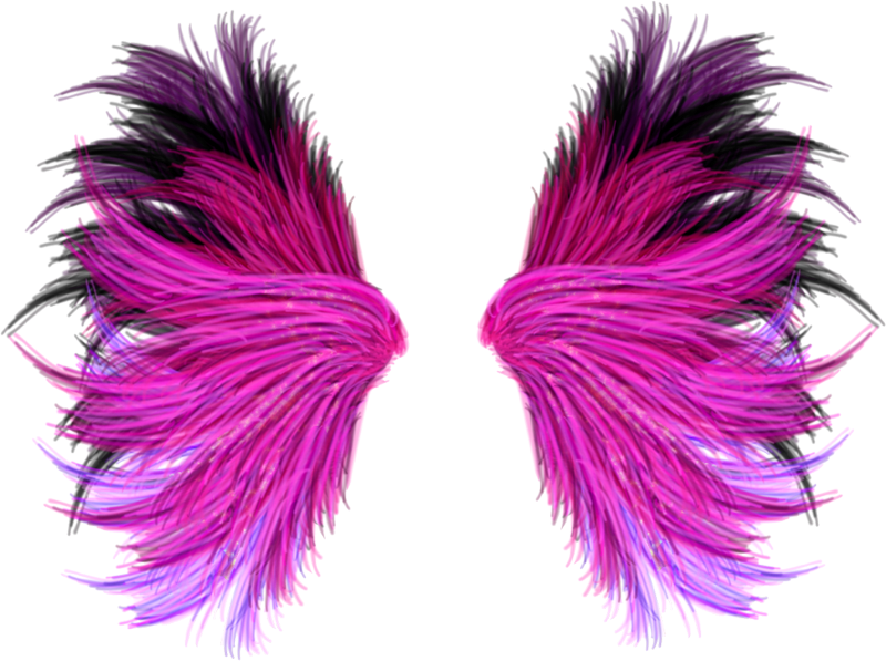 Imagens de asas coloridas png
