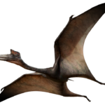 Imagens de dinossauro voador png