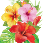Imagens de flor tropical png