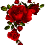 Imagens de flor vermelha png