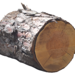 Imagens de tronco de madeira png