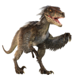 Imagens do velociraptor png